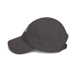 festival unisex cap