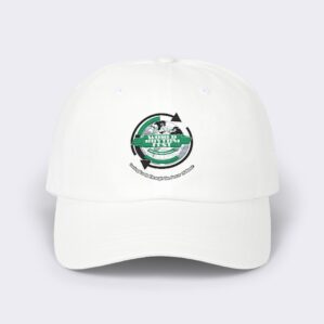 festival unisex cap